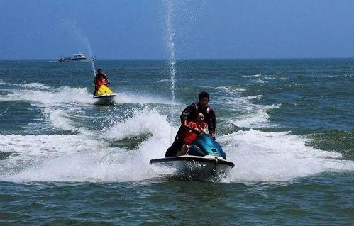 六鳌吃瓜,揭秘瓜界奇闻轶事