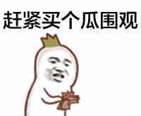 兔子吃瓜是什么表情,揭秘萌宠表情背后的趣味瞬间