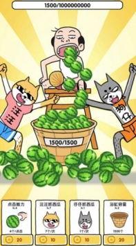 吃几个瓜游戏,揭秘“吃瓜”背后的趣味与智慧