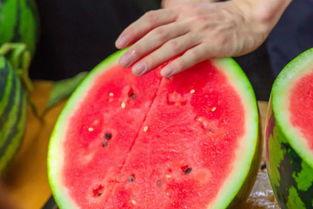 河北沧州学校吃瓜,揭秘校园里的那些“瓜”