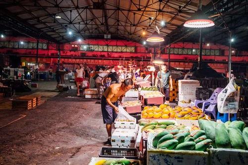 重庆公交圈吃瓜,一场吃瓜群众的狂欢盛宴