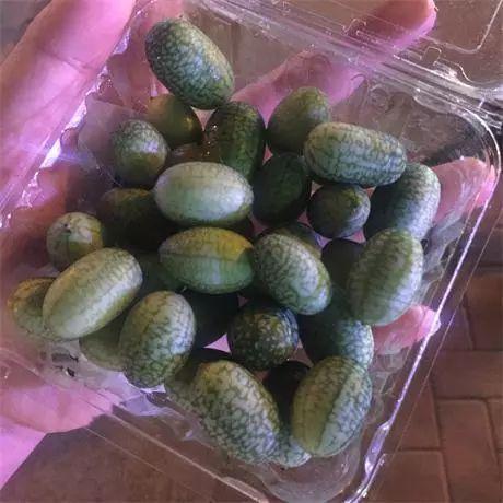 吾见吃瓜,揭秘娱乐圈幕后故事