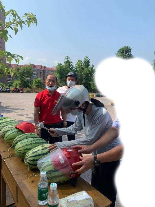 各种吃瓜事件民间,吃瓜群众视角下的娱乐圈风云录