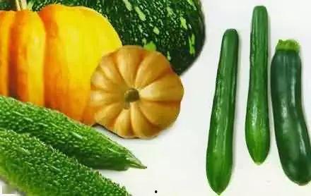 瓷都吃瓜,揭秘“吃瓜群众”背后的故事