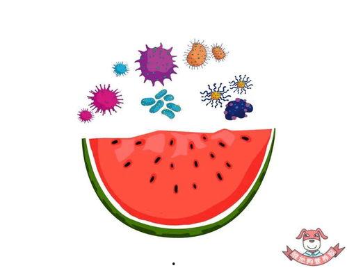 安全吃瓜壁纸,壁纸中的生活智慧