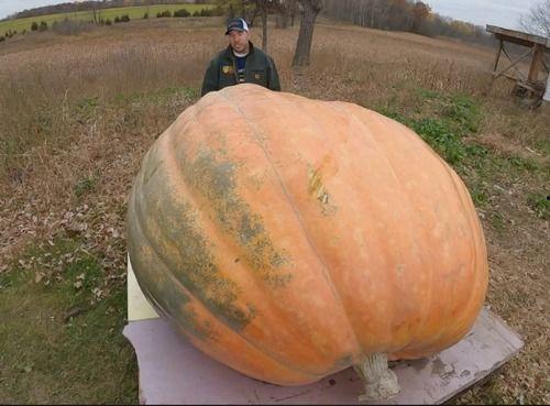吃瓜吐什么皮,揭秘吃瓜吐皮背后的趣味与奥秘
