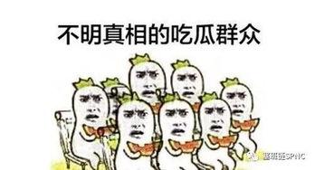 看不懂吃瓜,揭秘看不懂的娱乐现象