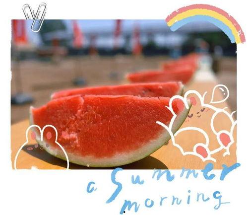 白象现场吃瓜,揭秘网红美食背后的故事