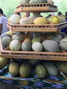 新疆吃瓜大赛,吃瓜大赛盛况空前