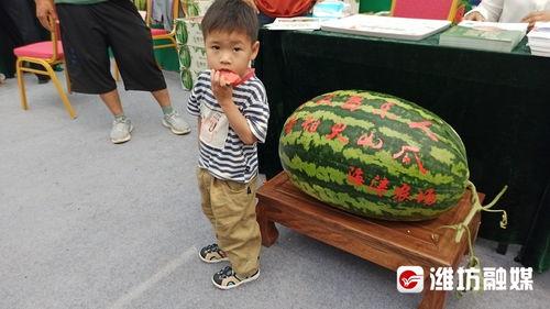 昌乐吃瓜,揭秘当地特色美食背后的故事