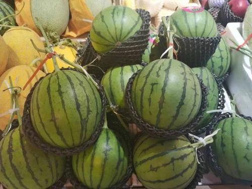 最完美的吃瓜,一场味蕾与视觉的盛宴