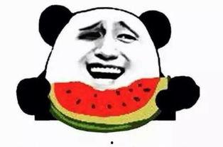 吃瓜群众阿坤视频,揭秘娱乐圈幕后故事